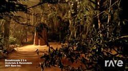 Bonetrousle 2 3 4 mashup.mp4